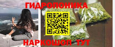 таблы Бердск