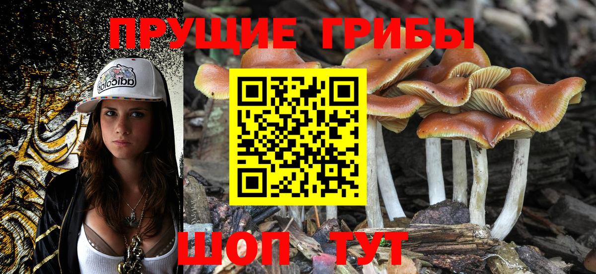 Галлюциногенные грибы мицелий Баксан